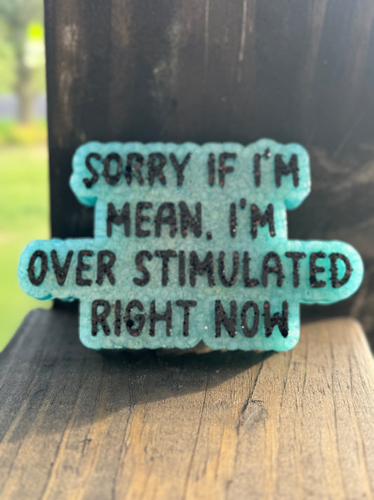 Sorry If I’m Mean Car Freshie